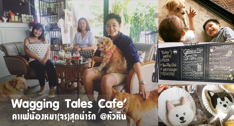 Dogilike.com :: Wagging Tales Cafe ͧ()شѡ @Թ