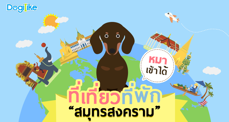 Dogilike.com :: .طʧ Ѻҹ ѡ Ǿҹͧ !!