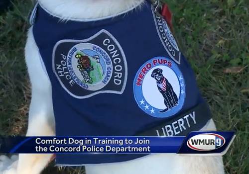 Dogilike.com ::    Liberty عѢŴ´áͧǨԡ !