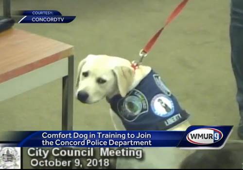 Dogilike.com ::    Liberty عѢŴ´áͧǨԡ !