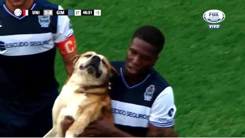 Dogilike.com :: 觫չ! ҵٺءʹ觢ѹص š͡Ẻ