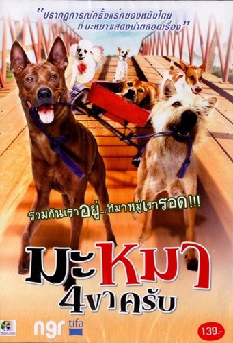 Dogilike.com :: ѴѹѺ 5 ҡش駨ҡҾ¹ͧ 褹ѡѵͧҴ !
