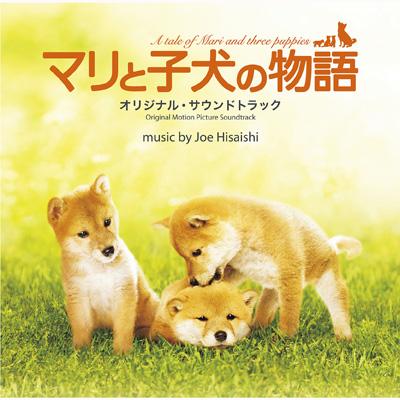 Dogilike.com :: ѴѹѺ 5 ҡش駨ҡҾ¹ͧ 褹ѡѵͧҴ !