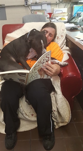Dogilike.com :: Թա! ٹѡԧѺԨҤ ҵٺͺ͹ҹ 