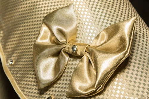 Dogilike.com :: ǹ! ͹ͧᾧشš Өҡͧ 24K Ҥ 43 ҹҷ 