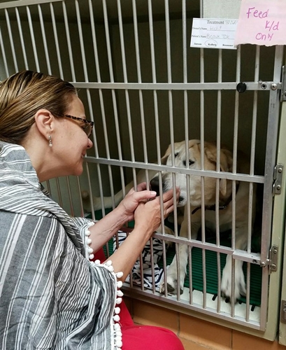 Dogilike.com :: ͧҵǹԴ˹ҼԴٻѡ شѹ͡ա !