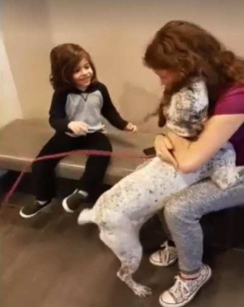 Dogilike.com :: Ի! ԡҵ龺˹Ңͧա