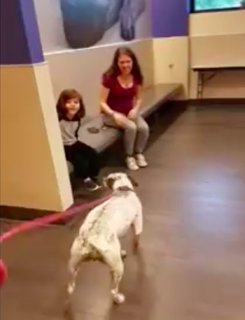 Dogilike.com :: Ի! ԡҵ龺˹Ңͧա