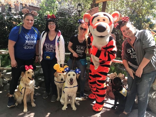 Dogilike.com :: ѡش! ꧹ͧ Service Dog ءҧʹŹ