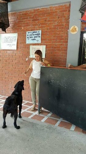 Dogilike.com :: เจ้า Negro ตูบสุดฉลาดคาบ ใบไม้ ไปแลก ขนม ที่ร้านค้าทุกวัน !