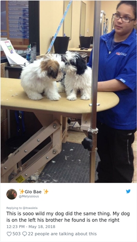 Dogilike.com :: ͧѡ! 2 Ңͧ٧ٺԹ˹͹ ͧѡٻҡʹǡѹ 