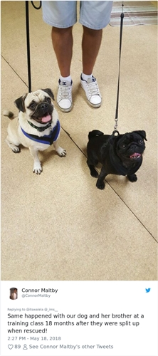 Dogilike.com :: ͧѡ! 2 Ңͧ٧ٺԹ˹͹ ͧѡٻҡʹǡѹ 