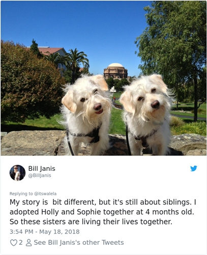 Dogilike.com :: ͧѡ! 2 Ңͧ٧ٺԹ˹͹ ͧѡٻҡʹǡѹ 