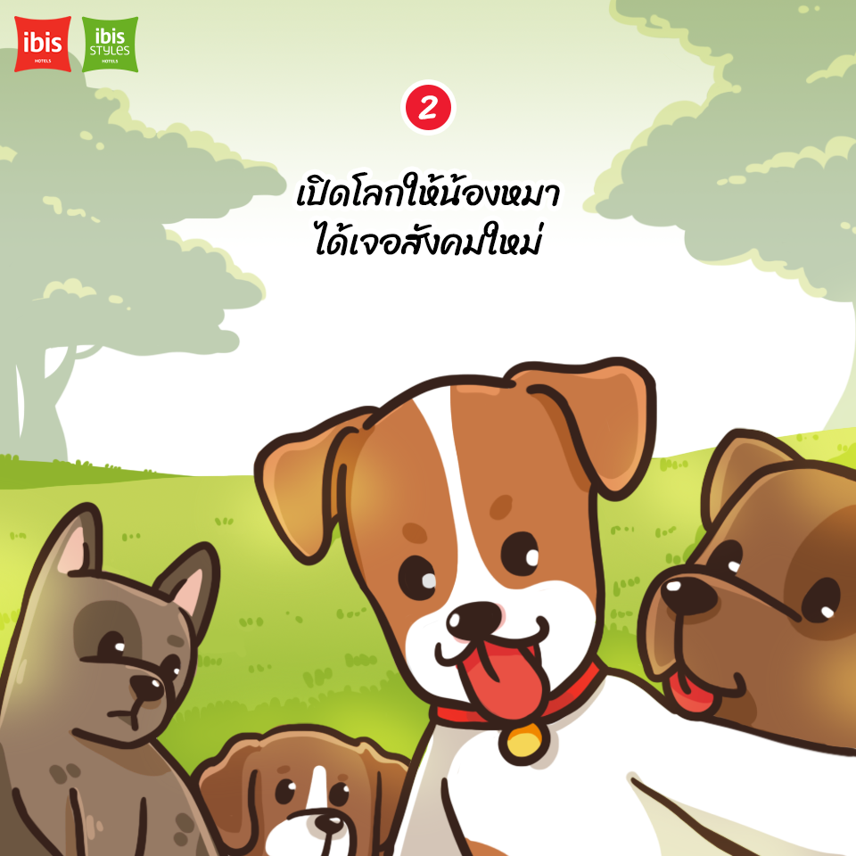 Dogilike.com :: 5 ˵ؼ Ҥþҹͧ͡Թҧ