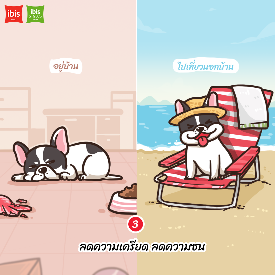Dogilike.com :: 5 ˵ؼ Ҥþҹͧ͡Թҧ