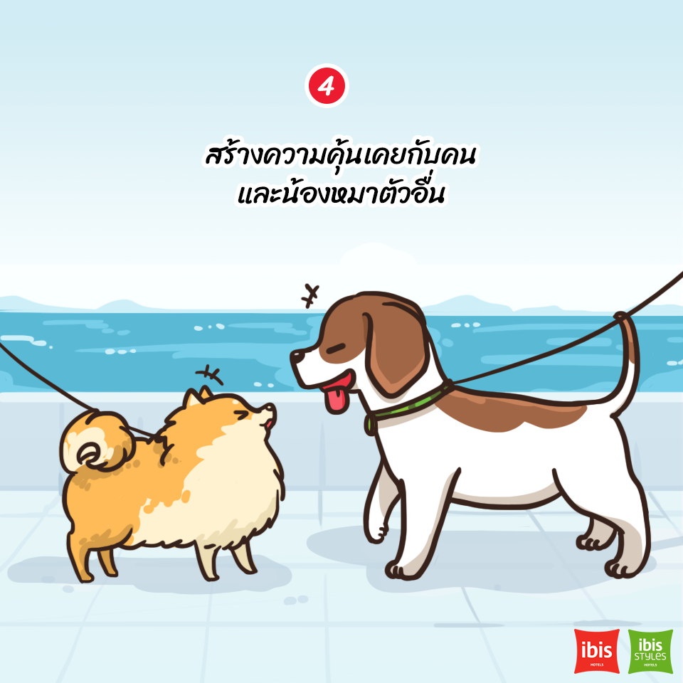 Dogilike.com :: 5 ˵ؼ Ҥþҹͧ͡Թҧ