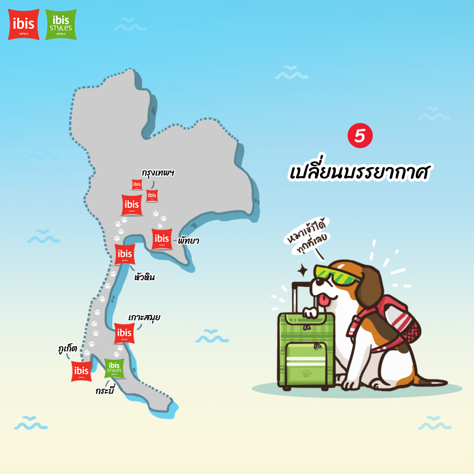 Dogilike.com :: 5 ˵ؼ Ҥþҹͧ͡Թҧ