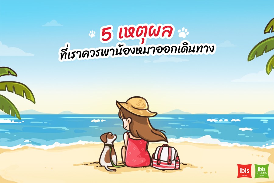 Dogilike.com :: 5 ˵ؼ Ҥþҹͧ͡Թҧ