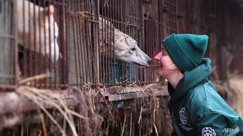 Dogilike.com :: ! 觻Ѻ˹ѡСͺÿعѢ