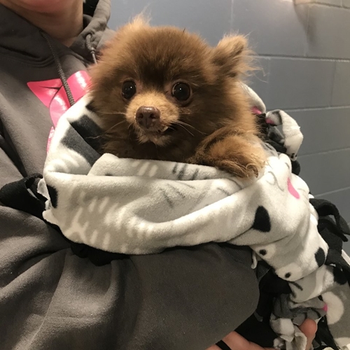 Dogilike.com :: ˭ԧҶ١㹾 Դ١Ѻ觷Ҵ֧ !
