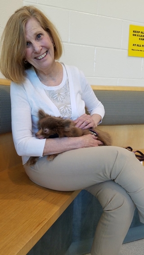 Dogilike.com :: ˭ԧҶ١㹾 Դ١Ѻ觷Ҵ֧ !