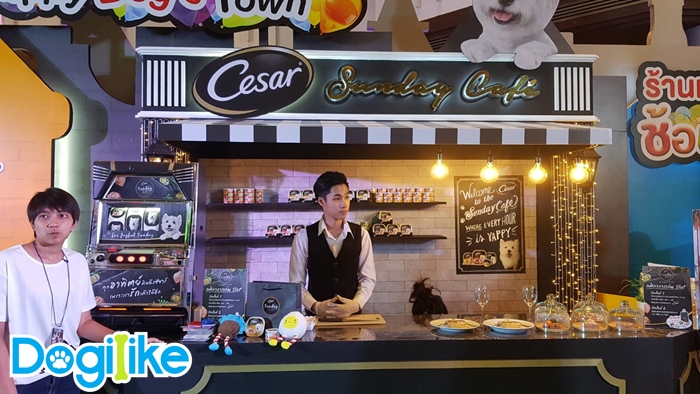 Dogilike.com :: Dogilike ҵ PET EXPO THAILAND 2018  ͹ 1