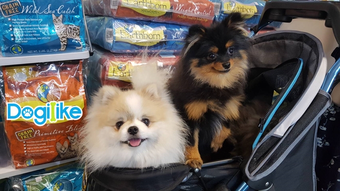 Dogilike.com :: Dogilike ҵ PET EXPO THAILAND 2018  ͹ 1