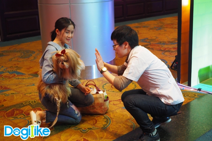 Dogilike.com :: Dogilike ҵ PET EXPO THAILAND 2018  ͹ 1