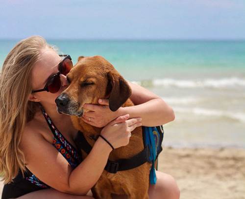 Dogilike.com :: ٹѺҹ! ԻعѢ ͺҢͧ赡Եѧ