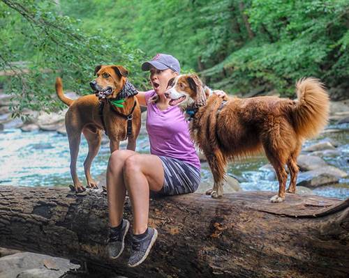 Dogilike.com :: ٹѺҹ! ԻعѢ ͺҢͧ赡Եѧ