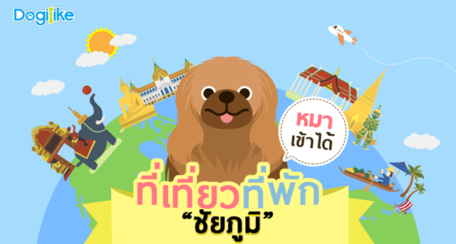 Dogilike.com :: Ժ͡ ͡͡ . Ѻҹ ѡ Ǿҹͧ !!