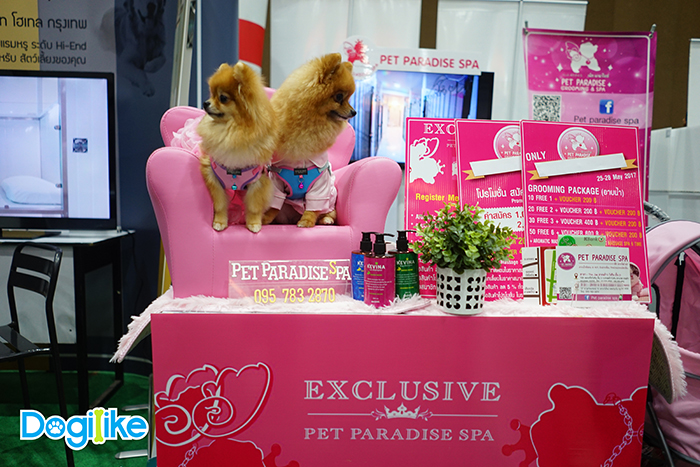 Dogilike.com :: Dogilike ҵ Thailand International Dog Show 2018 ͹ 2