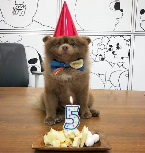 Dogilike.com :: ҵٺǹ١е˭Թ ѹѹ繷ѡͧš!