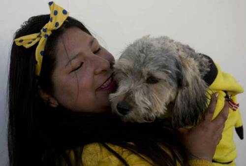 Dogilike.com :: ¾عѢʶ ֧֡ѡحԵ !