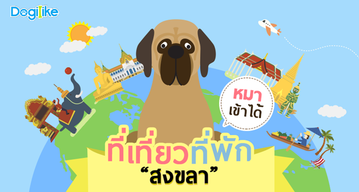 Dogilike.com :: .ʧ Ѻҹ ѡ Ǿҹͧ !!