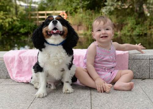 Dogilike.com :: ҵٺ¡餹ªԵ˹ٹ 1 Ǻ͹ѡ¹ͧ !
