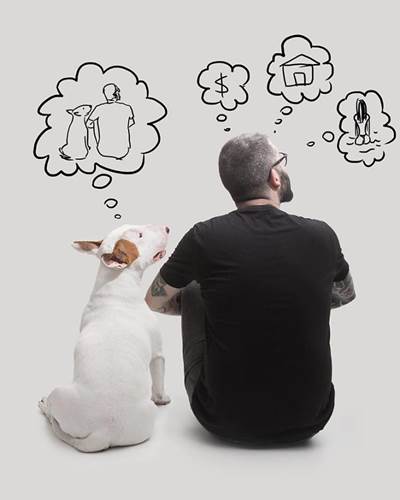 Dogilike.com :: ѡش! ˹ѡҴٹѺٺҧŧҹش 