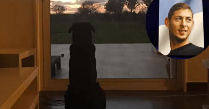 Dogilike.com :: ش ... ѡдѧͧԹ ͧʵҾ ҹҹ¡Ѻҹ
