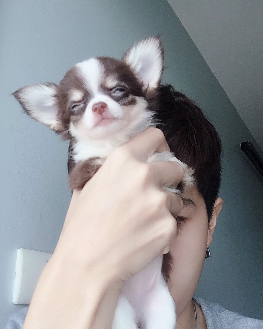 Dogilike.com :: ɳ ...  Ҩͧ Ѻ