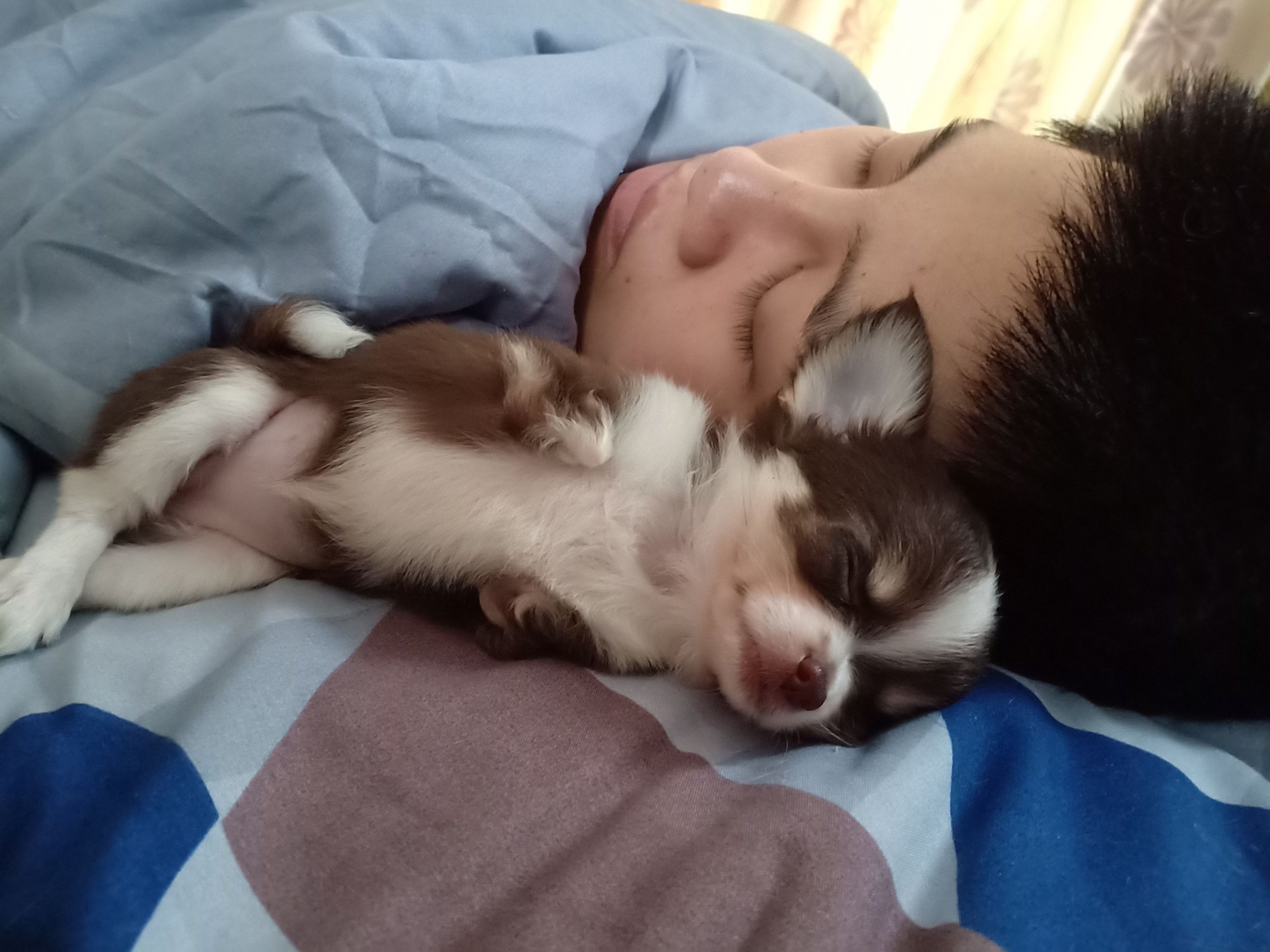 Dogilike.com :: ɳ ...  Ҩͧ Ѻ