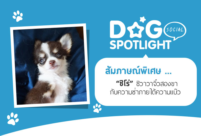 Dogilike.com :: ɳ ...  Ҩͧ Ѻ