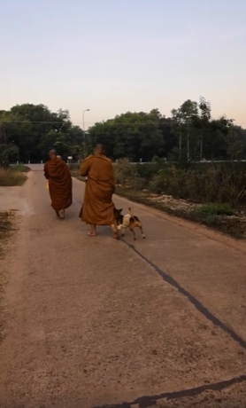 Dogilike.com :: 繴 ҢͧǪ繾ԹԳҵ Ҩ仧Ѻ÷ѡ