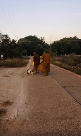 Dogilike.com :: 繴 ҢͧǪ繾ԹԳҵ Ҩ仧Ѻ÷ѡ