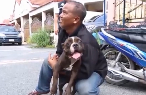 Dogilike.com :: ˹ҷعѢ١㹺ҹ餹 ªԵ 2  1!!