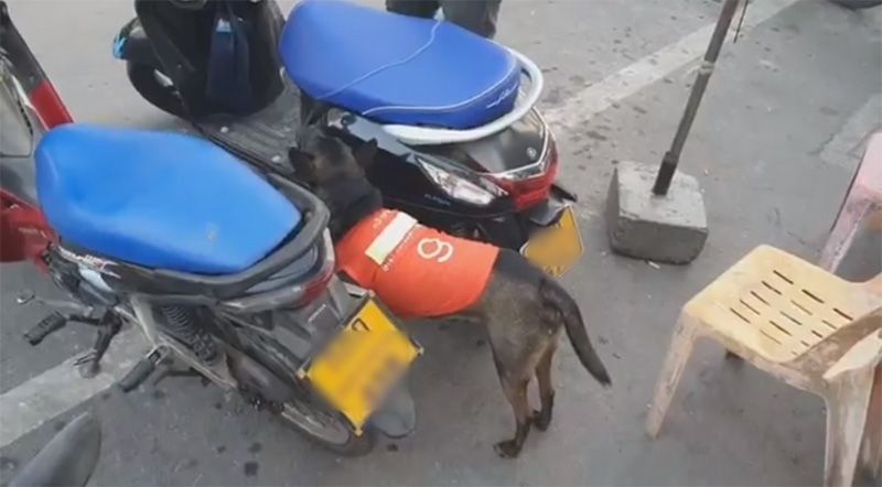 Dogilike.com :: Թѡ͡ʹ ... ѡѺ ҭ һШԹҴͧ