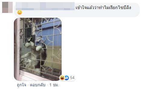 Dogilike.com :: ͧ 䫺¹Ҿ˹ǨԴ!!