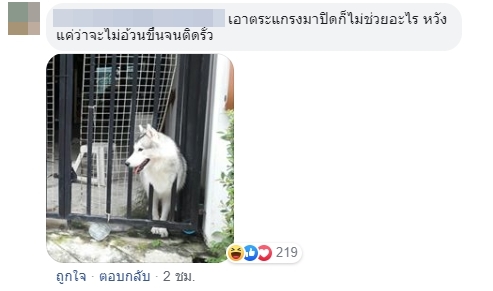 Dogilike.com :: ͧ 䫺¹Ҿ˹ǨԴ!!
