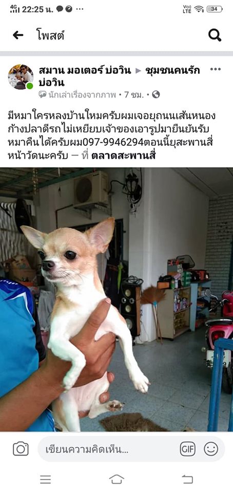 Dogilike.com :: Ңͧ Ҷ١¨ҡ˹Һҹ ҹᨧ Сö