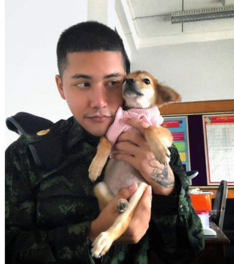 Dogilike.com :: ͺ ... ŷ㨴 Ѻ§١ҷҡͧѹ 