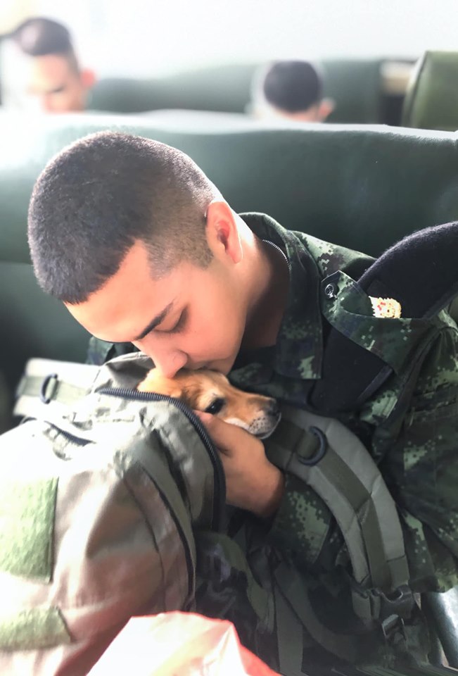 Dogilike.com :: ͺ ... ŷ㨴 Ѻ§١ҷҡͧѹ 